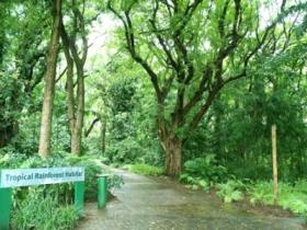 Townsville Palmetum - Tourism Brisbane 1