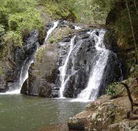 Pepina Falls - Tourism Brisbane