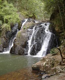 Pepina Falls - Brisbane Tourism 0