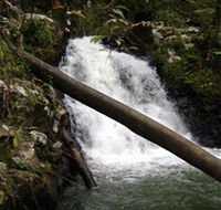 Souita Falls - Tourism Brisbane