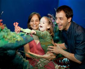 Museum Of Tropical Queensland - Tourism Brisbane 2