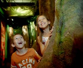 Museum Of Tropical Queensland - Tourism Brisbane 1