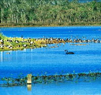 Hasties Swamp National Park - Tourism Brisbane