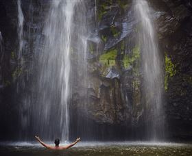 Ellinjaa Falls - Brisbane Tourism 0