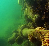 Wreck Diving at Magnetic Island - Brisbane 4u