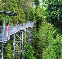 Mamu Tropical Skywalk - Tourism Brisbane