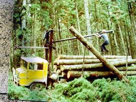Nangwarry Forestry And Logging Museum - Brisbane 4u 3
