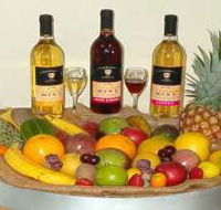 de Brueys Boutique Wines and Functions Venue - Tourism Brisbane