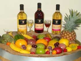De Brueys Boutique Wines And Functions Venue - Tourism Brisbane 0