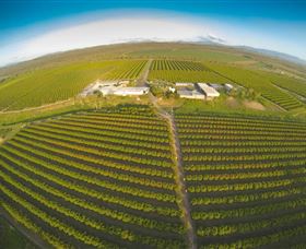 Golden Drop Winery - Tourism Brisbane 0