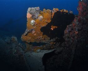 Lady Bowen Dive Site - Brisbane 4u 0