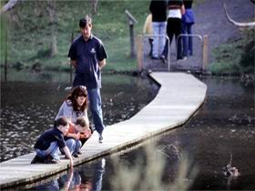 Valley Lake Conservation Park - Brisbane 4u 2