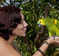 Birdworld Kuranda - Tourism Brisbane
