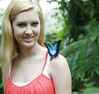 Australian Butterfly Sanctuary - Tourism Brisbane