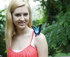 Australian Butterfly Sanctuary - Tourism Brisbane 0