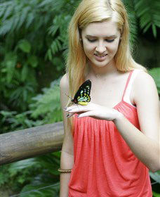 Australian Butterfly Sanctuary - Tourism Brisbane 1