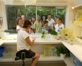 Australian Butterfly Sanctuary - Tourism Brisbane 3