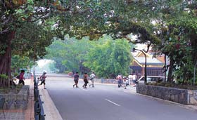 Kuranda - Village In The Rainforest - Tourism Brisbane 1