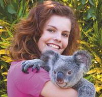 Kuranda Koala Gardens - Tourism Brisbane