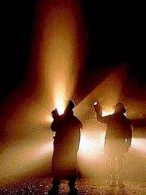 Carrowong Fauna Sanctuary - Tourism Brisbane 3