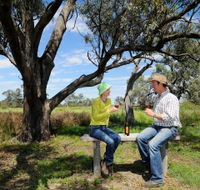 Restdown Wines and Walking Trail - Tourism Brisbane