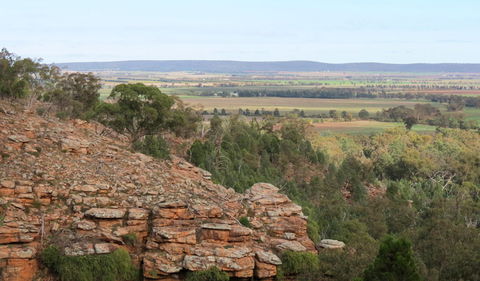 Jacks Creek Walking Track - Brisbane Tourism 0