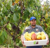 Sweet Farm Tours - Tourism Brisbane