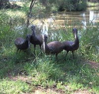 East Tolans Farm Tour - Tourism Brisbane