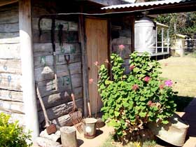 Nebo Museum - Tourism Brisbane 3