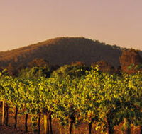 Taltarni Vineyards - Brisbane 4u