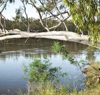 Murray Valley National Park - Tourism Brisbane