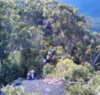Mia Mia State Forest - Brisbane Tourism