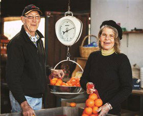 Backroads Trail - Tourism Brisbane 3