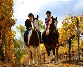 Billabong Ranch - Tourism Brisbane 0