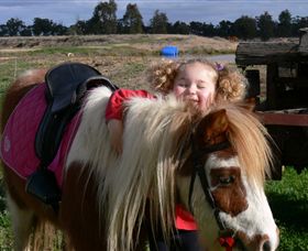 Billabong Ranch - Tourism Brisbane 1