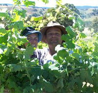 Wimmera Hills Winery - Brisbane Tourism