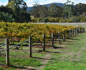 Mountainside Wines - Brisbane Tourism 1