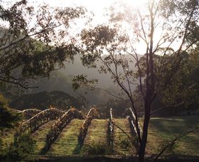 Mountainside Wines - Brisbane Tourism 3