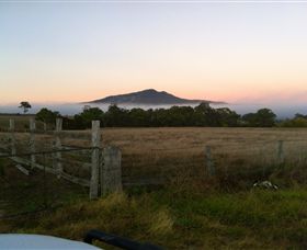 Mountainside Wines - Brisbane Tourism 2