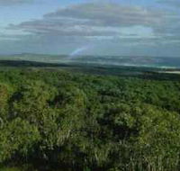 Mount Richmond National Park - Tourism Brisbane