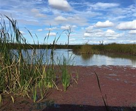 Gwydir Wetlands - Brisbane Tourism 0