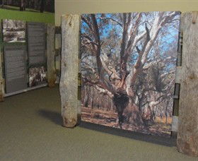 Barmah Forest Heritage And Education Centre - Brisbane 4u 2