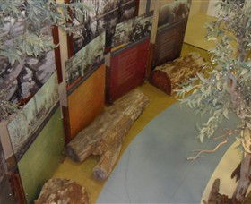 Barmah Forest Heritage And Education Centre - Brisbane 4u 4
