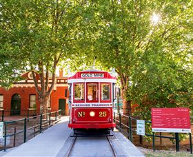 Bendigo Tramways Vintage Talking Tram - Tourism Brisbane 3