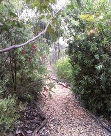 Timandra By The Sea - Tourism Brisbane 8