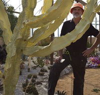 Cactus Country - Brisbane Tourism