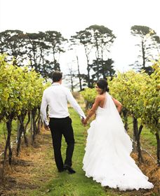Quoin Hill Vineyard - Brisbane Tourism 2