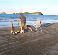 Cape Hillsborough National Park - Tourism Brisbane
