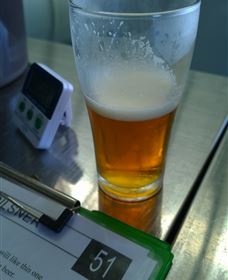 Goanna Brewing - Tourism Brisbane 1