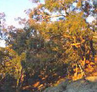 Mount Alexander Regional Park - Brisbane 4u
